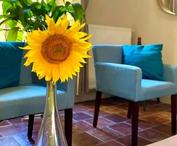 아파트 Apartment Albert