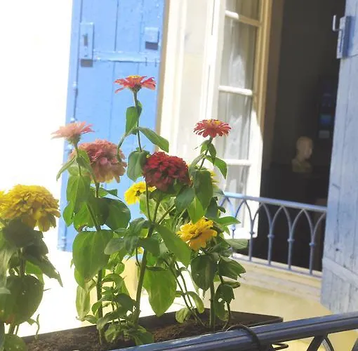 Apartment Albert 아파트